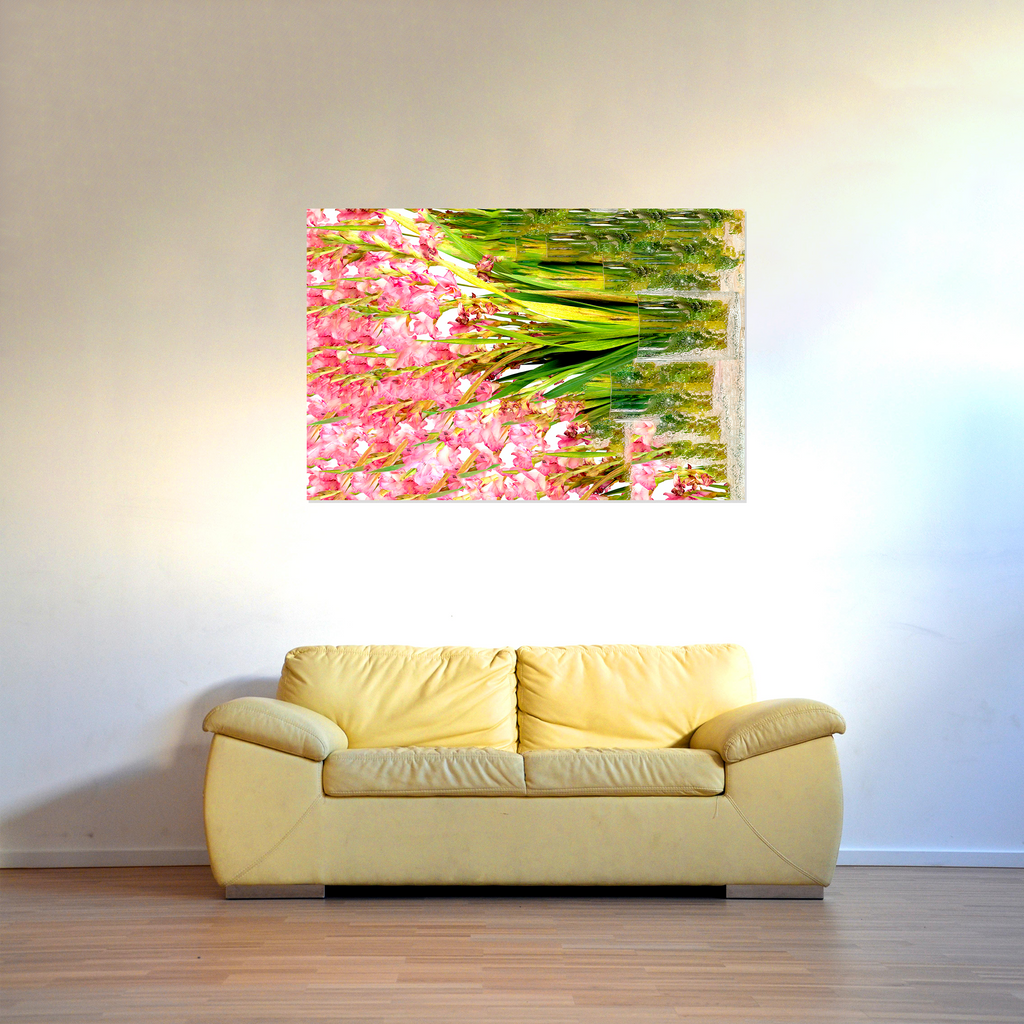 gladiolus multi, 2020-ryan lutz- abstract, pink, 🌸-xzib.com