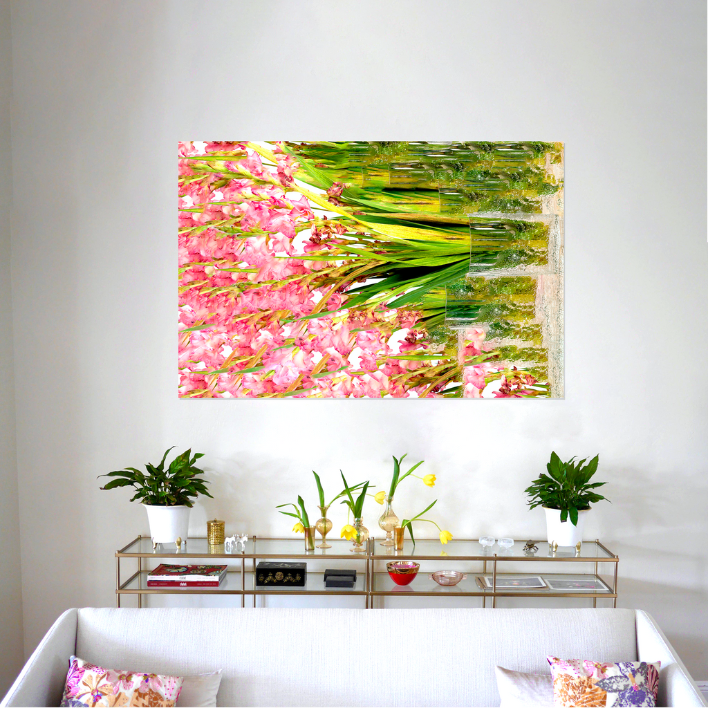 gladiolus multi, 2020-ryan lutz- abstract, pink, 🌸-xzib.com